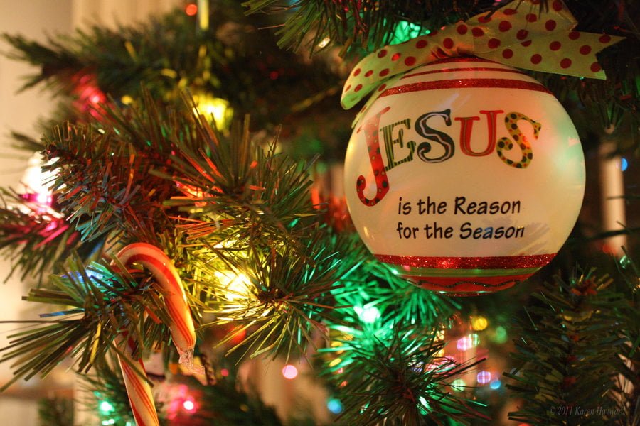 the_reason_for_the_season the_reason_for_the_season